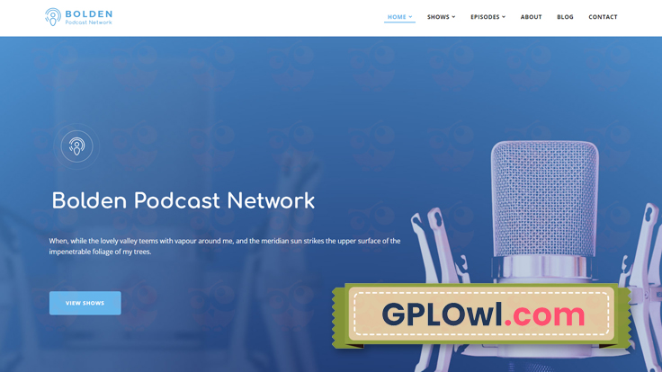 Download Bolden Premium WordPress Theme by SecondLine